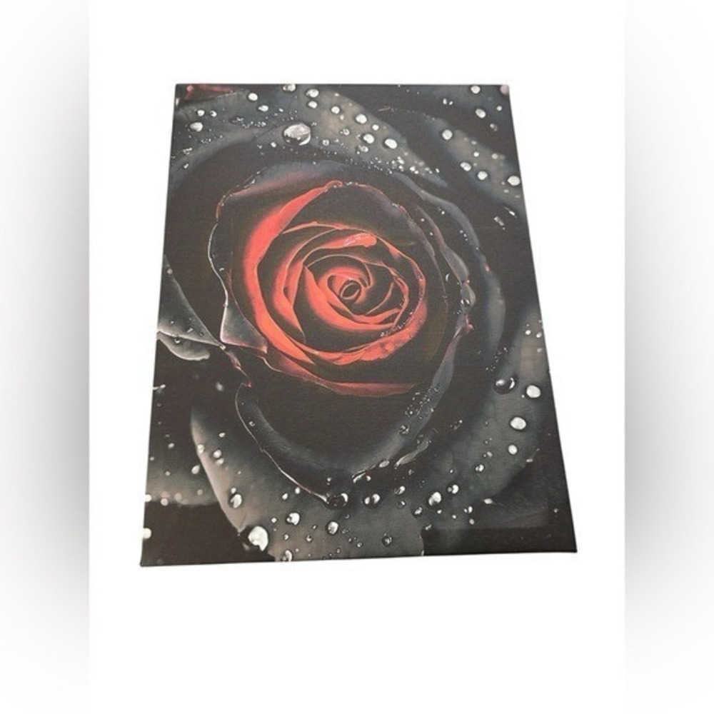 NEW framed canvas art print 16x12 inches